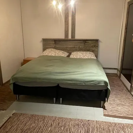 Apartment Hopeaniitty