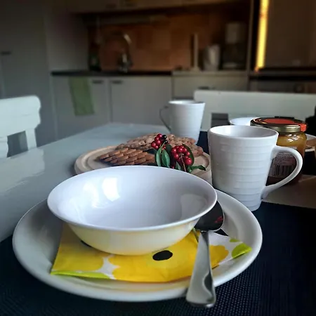 Hopeaniitty Appartement *