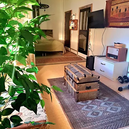 Apartment Hopeaniitty
