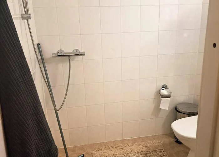 Hopeaniitty * Huittinen