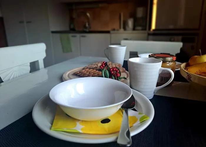 Hopeaniitty Appartement *